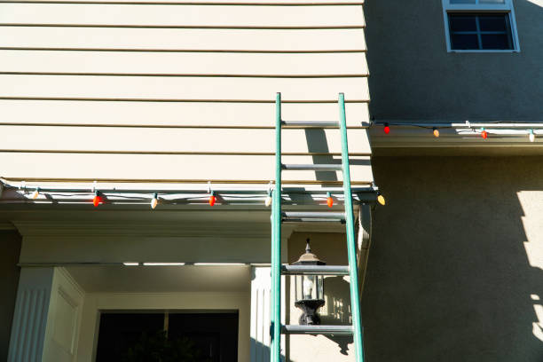 Affordable Siding Repair and Maintenance Services in Rapid City, MI