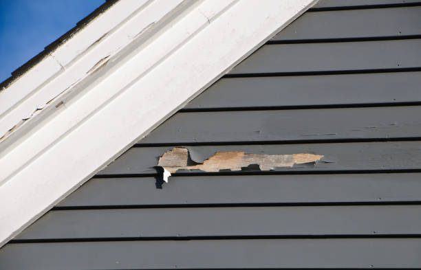 Best Siding for Multi-Family Homes  in Rapid City, MI