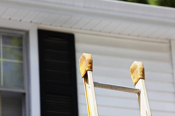 Best Stucco Siding  in Rapid City, MI